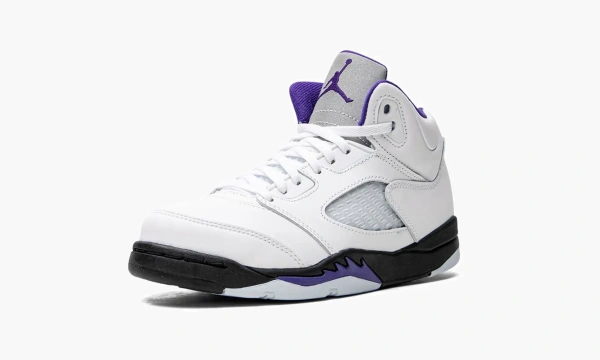 Air Jordan 5 Retro PS Concord 