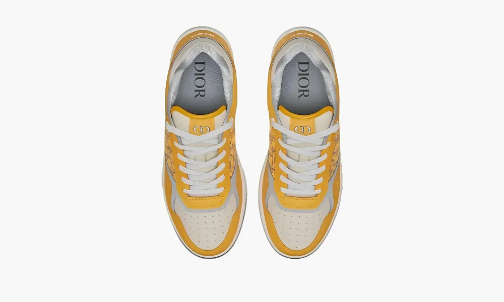 Dior B27 Low Gold-tone White Grey