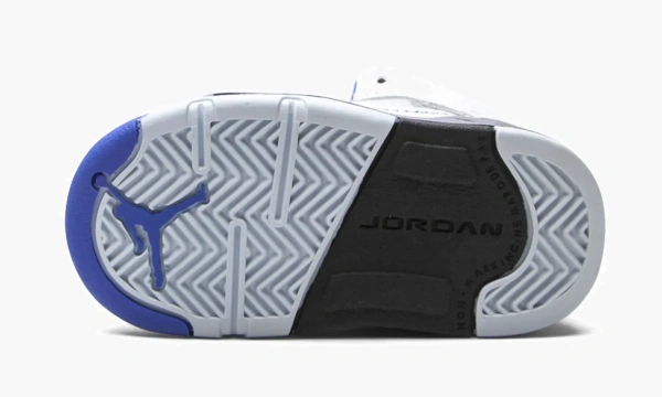 Air Jordan 5 Retro TD Stealth 2.0 