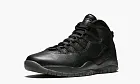 Air Jordan 10 Retro Ovo Black