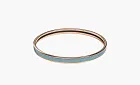 Hermès Enamel Bangles Unisex Shilton