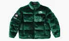 Supreme X The North Face Faux Faur Nuptse Jacket Green