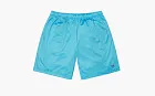Supreme Small Box Baggy Mesh Short  Cyan