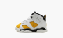 Air Jordan 6 Retro TD "Yellow Ochre" 