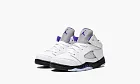 Air Jordan 5 Retro TD Concord