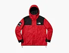 Supreme x The North Face Leather Mountain Parka Red