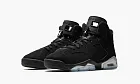 Air Jordan 6 GS Chrome