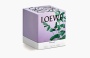 Loewe Small Scented Candle "Liquorice" 