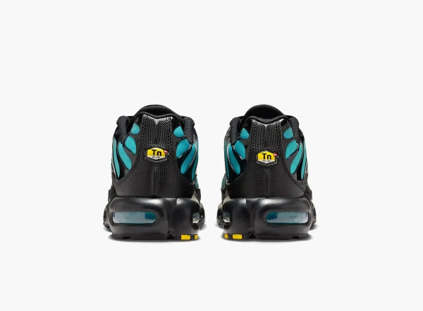 Nike Air Max Plus Black Dusty Cactus 