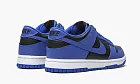 Nike Dunk Low GS Hyper Cobalt