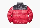 Supreme x The North Face Printed Nuptse Jacket Red