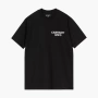 Carhartt WIP FW24 SS Ice T-Shirt T 