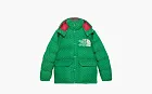 Gucci x The North Face Down Coat Green/Dark Green