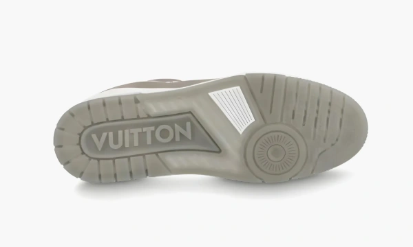 Louis Vuitton Trainer Ash 