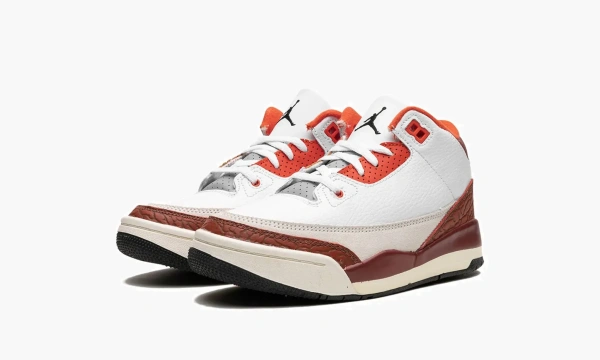 Air Jordan 3 PS Dunk On Mars  Air Jordan 3 PS Dunk On Mars