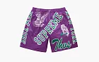 Supreme Varsity Mesh Short  Purple