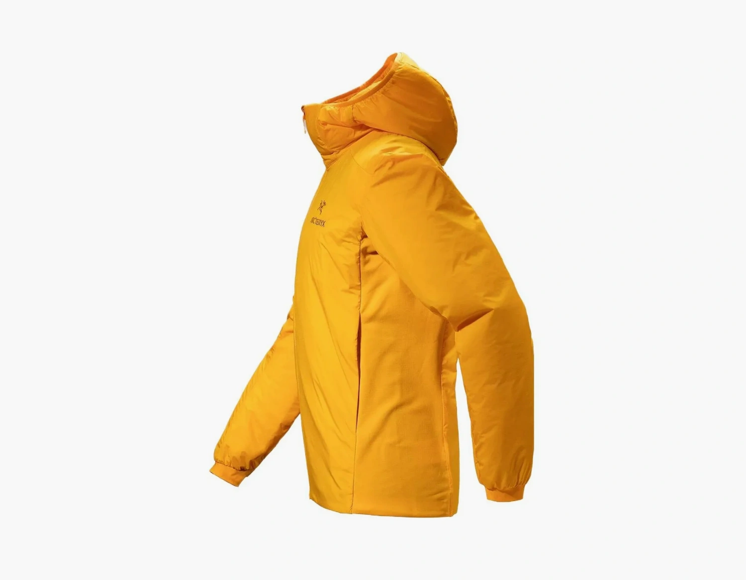 Arc'teryx Atom Hoody Jacket Edziza 