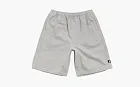 Stussy Baggy Beach Shorts Grey Stripe