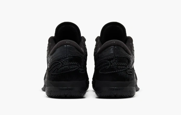 Nike LeBron 22 LX Black Label Pack 