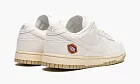 Nike Dunk Low WMNS The Future Is Equal