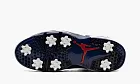 Air Jordan 6 Golf Olympic