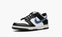 Nike Dunk Low Next Nature GS Tpu Swoosh 