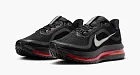 Nike Pegasus Premium Black Bright Crimson