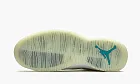 Air Jordan 10 Retro SP Solefly