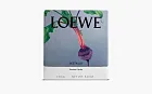 Loewe Small Scented Candle Beetroot