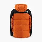 The North Face Himalayan Down Jacket Multicolor