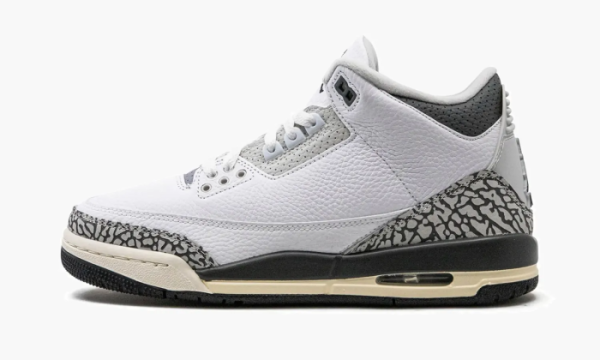 Air Jordan 3 GS Hide N Sneak 