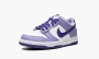 фото Dunk Low GS "Blueberry" (Nike Dunk)-DZ4456 100