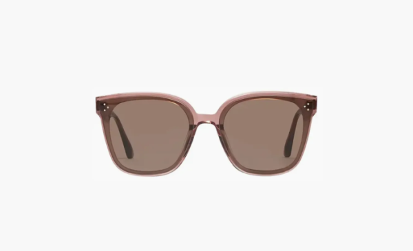 Gentle Monster Rick BC4 Sunglasses Clear Brown 