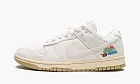 Nike Dunk Low WMNS The Future Is Equal