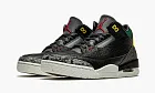Air Jordan 3 SE Animal Instinct 2.0