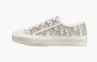 Dior Walk'N'Dior WMNS Embroider Cotton