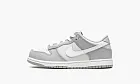 Nike Dunk Low PS Two-toned Grey