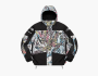 Supreme x The North Face Steep Tech Apogee Jacket Multicolor Dragon 