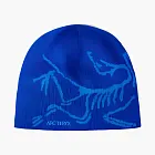 Arc'teryx Bird Head Toque Vitality Fluidity