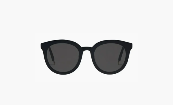 Gentle Monster  Metal Acetate Sunglasses OVAL Unisex Black 