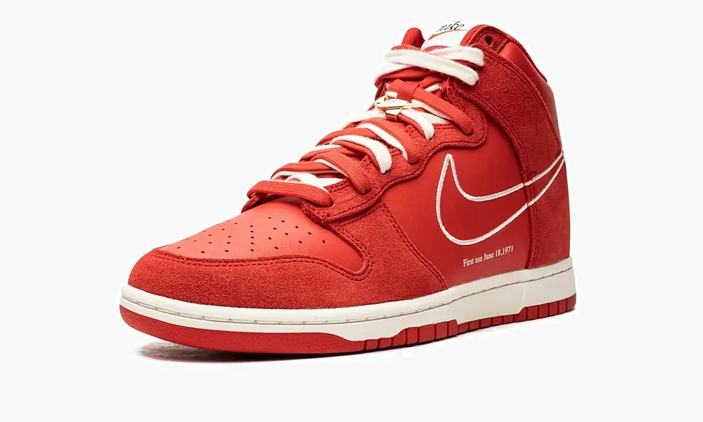Nike Dunk HI SE First Use