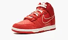 Nike Dunk HI SE First Use