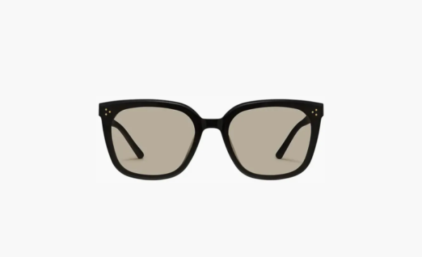 Gentle Monster Loloe 01 Br Sunglasses Black 