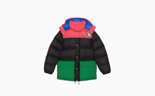 Gucci x The North Face Down Jacket Black/Multicolor  Gucci x The North Face Down Jacket Black/Multicolor