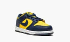 Nike Dunk Low PS Michigan