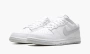 Nike Dunk Low Retro "Pure Platinum" 