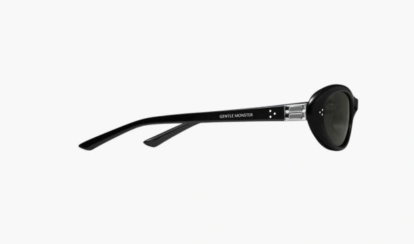 Gentle Monster Cinnamon 01 Sunglasses Black 