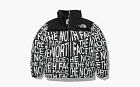 The North Face White Label Novelty Nuptse Down Jacket Black