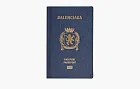 Balenciaga Passport Holder Blue