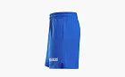 Nike x NBA Dallas Mavericks Team Basketball Shorts 480 Game Royal Blue